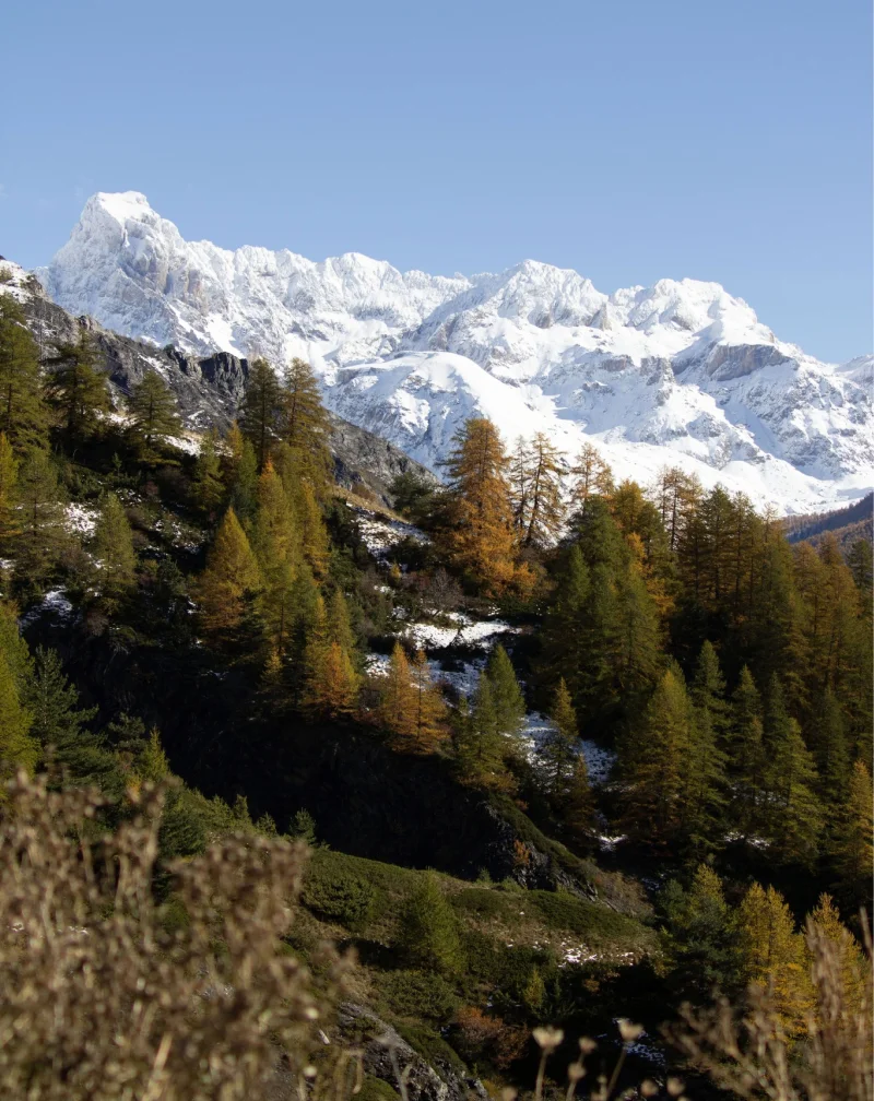 Chloe Dhallenne Photographie Photo De Grossesse Realisations 2 1