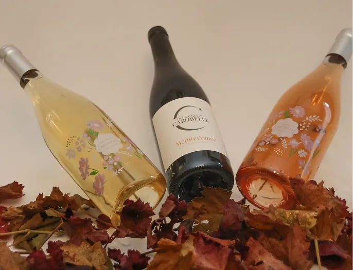 Chloe Dhallenne Photographie Photo De Grossesse Les 3 1 1 1