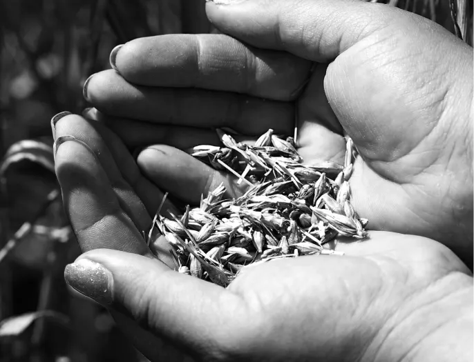 Chloe Dhallenne Photographie Photo De Grossesse Marriage 3