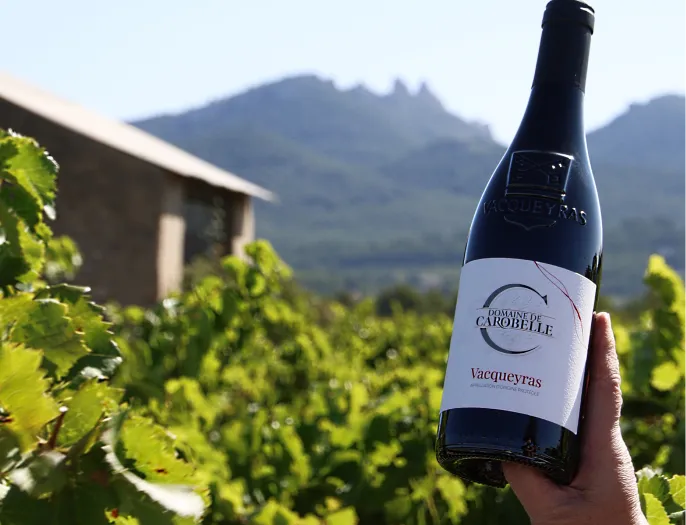 Chloe Dhallenne Photographie Photo De Grossesse Shooting Professionnel 11