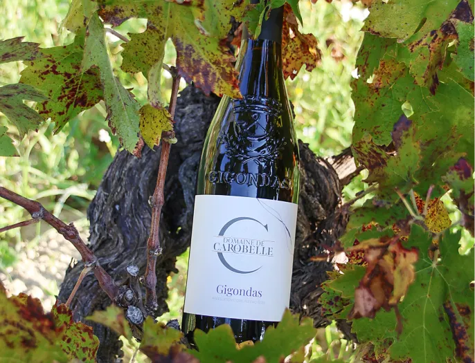 Chloe Dhallenne Photographie Photo De Grossesse Shooting Professionnel 3