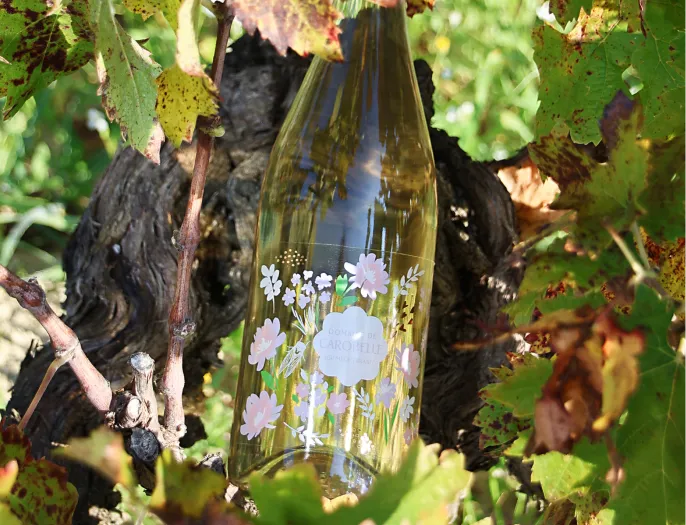 Chloe Dhallenne Photographie Photo De Grossesse Shooting Professionnel 4