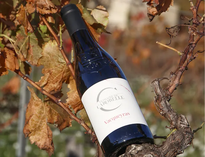 Chloe Dhallenne Photographie Photo De Grossesse Shooting Professionnel 6